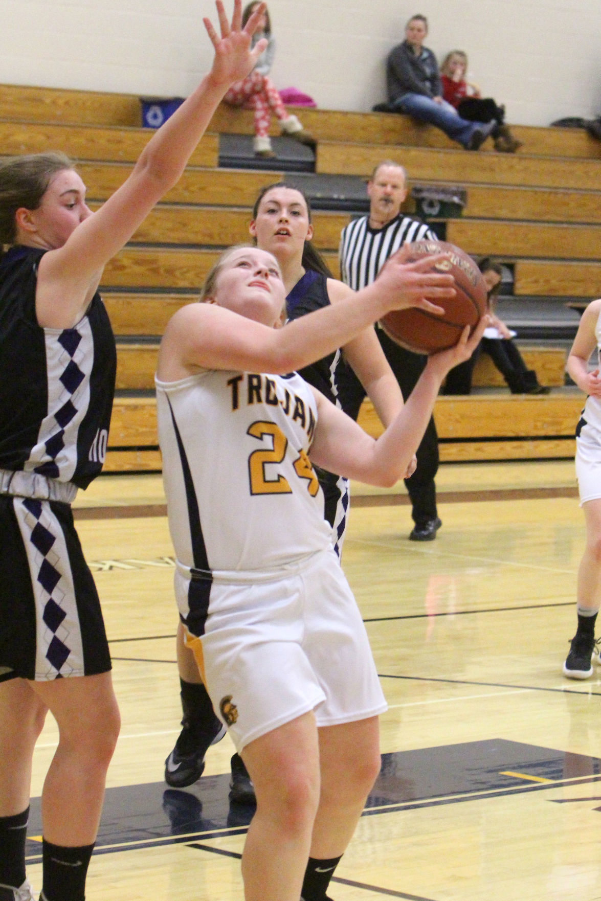 Lake Holcombe at New Auburn girls basketball 2-14-19